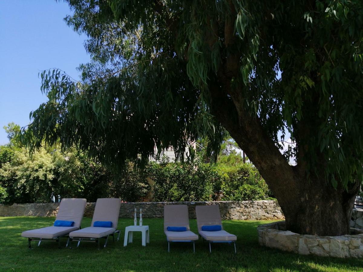 Cedar Tree Villa Kounoupidhianá Eksteriør bilde